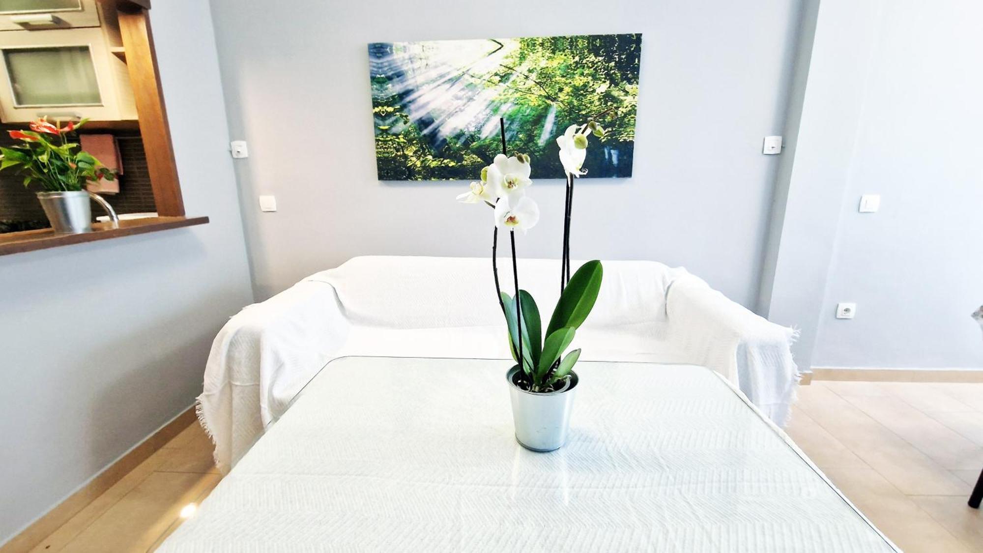 Apartament Aa Guest - Sur Sea Views Eco